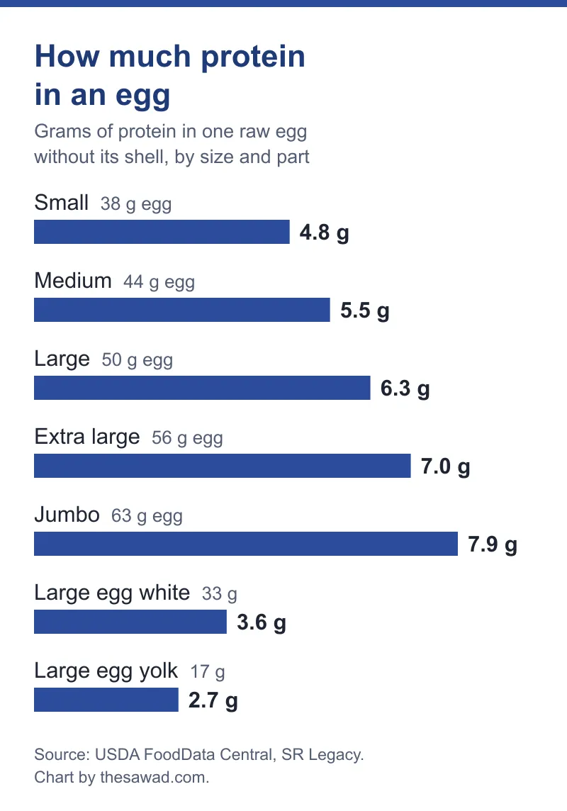 How much protein in an egg chart: grams of protein in one egg for each size, and in the white and the yolk